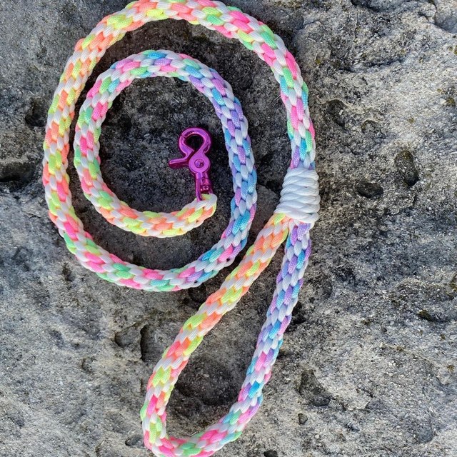 Guinzaglio in paracord intrecciato a mano
