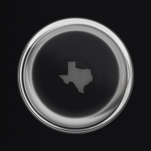Texas Engraved - SN Whiskey Glass — 10.5oz