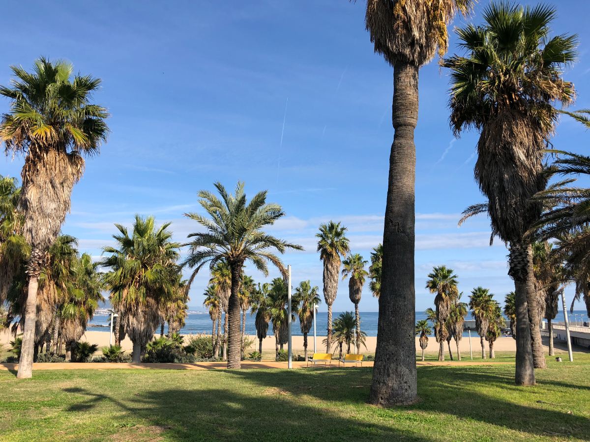 Forum beach