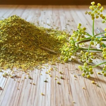 🌿 Finocchio Selvatico Fresco - Raccolta Artigianale
