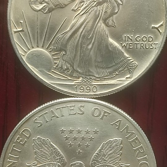 Monete in argento 999 da 1 oncia. Anni vari e di varie zecche: Usa, Canada, Austria ecc.