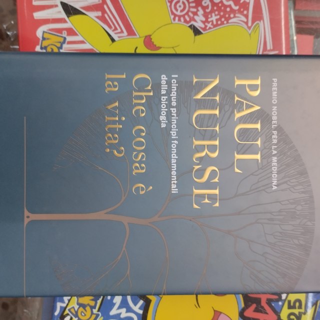 Che cosa è la vita?